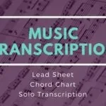 I will do professional music transcription service